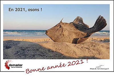 voeux-2021